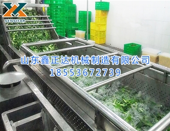 清洗風干油炸流水線